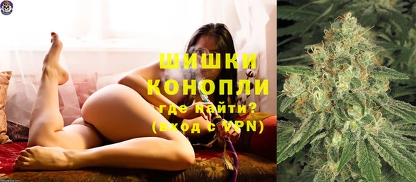 прущая мука Богданович