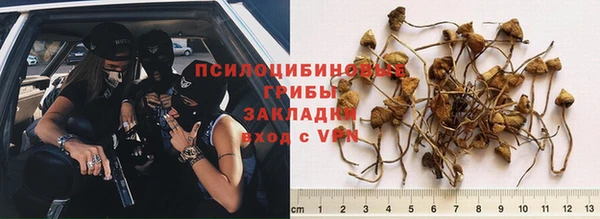 MESCALINE Богородицк